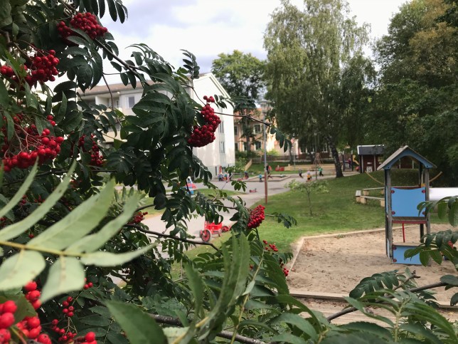 25D953B3-66BC-41FE-A37F-0AFE87862CC8