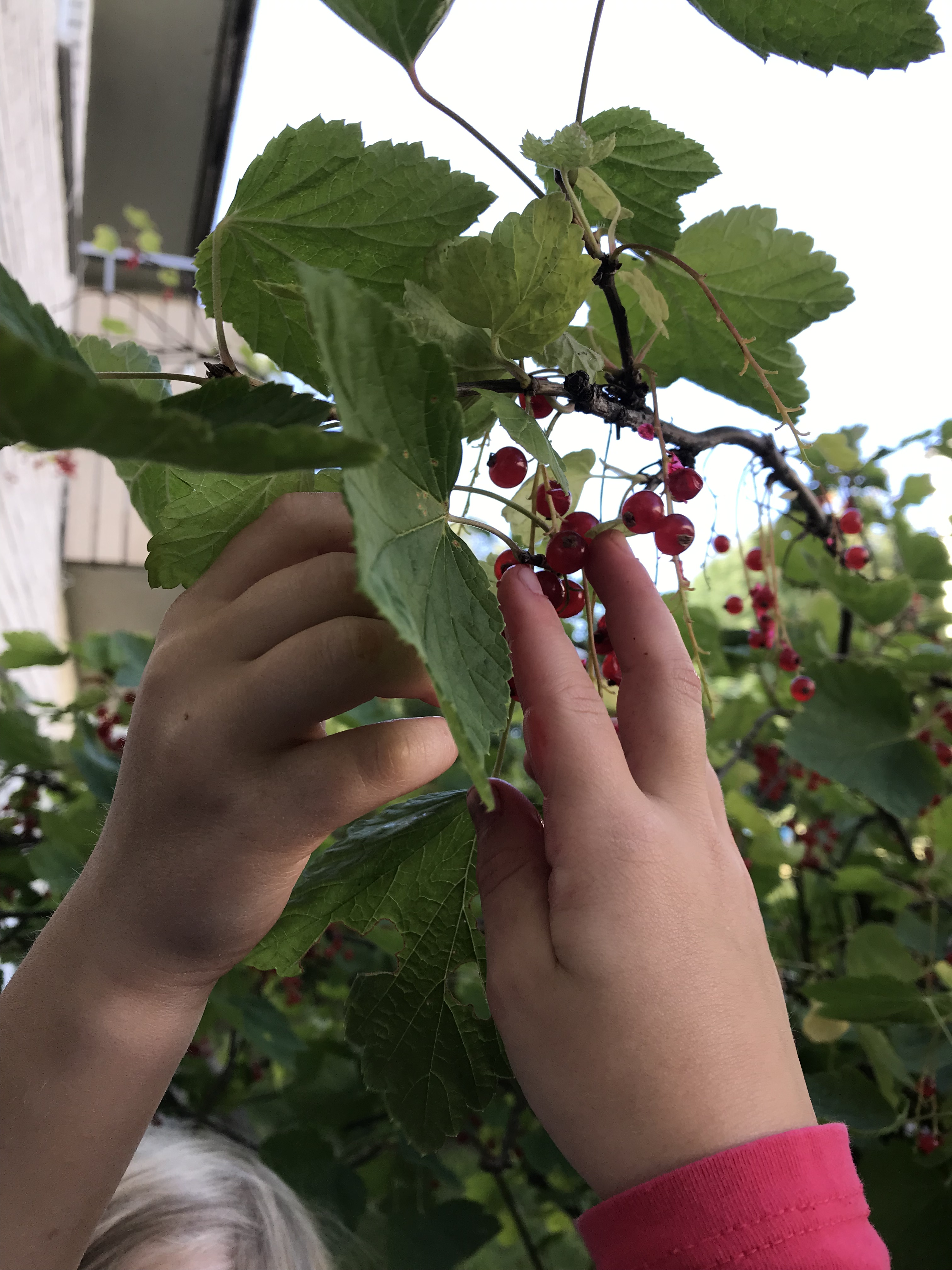 3A60C25C-F49E-43F1-99B1-CF742E94B3B6