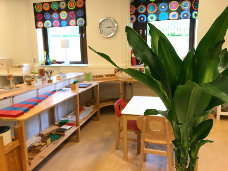 B2895AE2-0D62-4491-82D3-35A5E3CC0F19