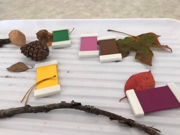 B7815782-CF36-43D9-BD4B-8CD2D4999EF9